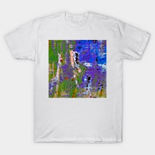 Reflections In a Pond #8a T-Shirt